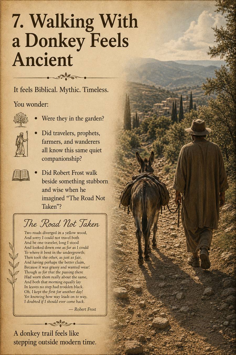 Walking With a Donkey Feels Ancient